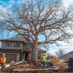 whitebeardwizard_A_photo_of_a_tree_service_team_providing