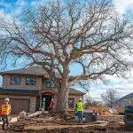 whitebeardwizard_A_photo_of_a_tree_service_team_providing